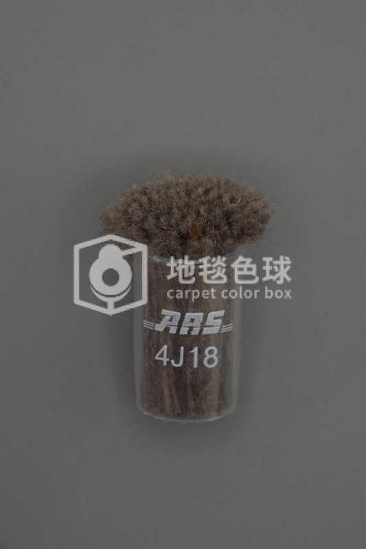 ARS 4J18