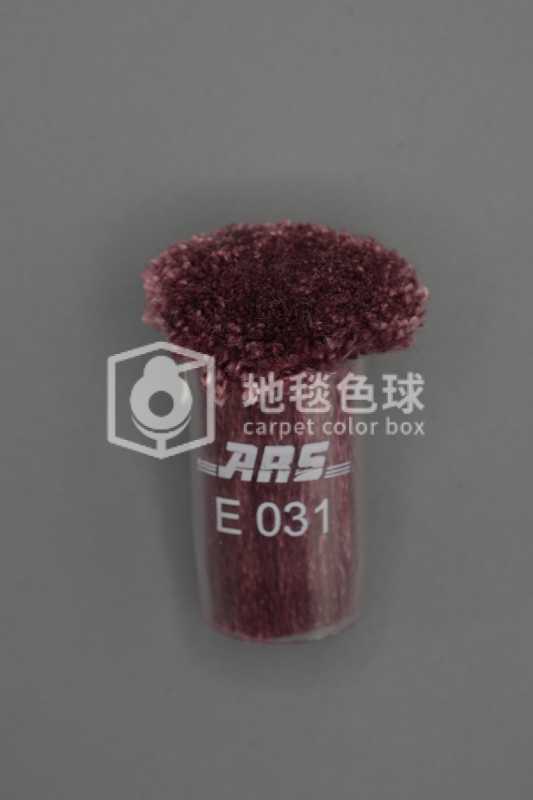 ARS E031