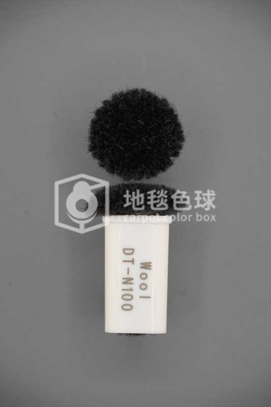 DT N100