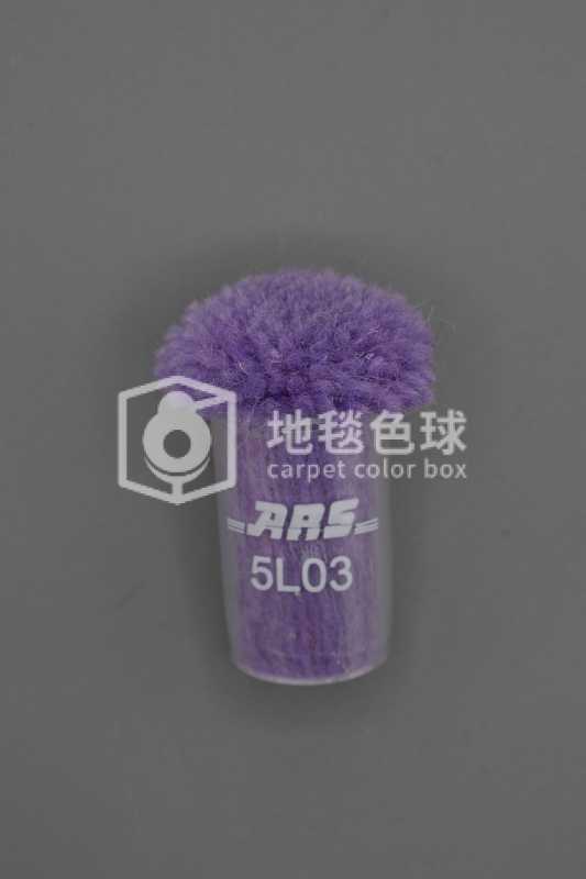 ARS 5L03