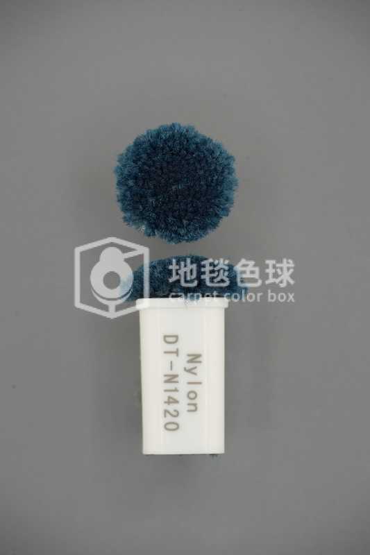 DT N1420