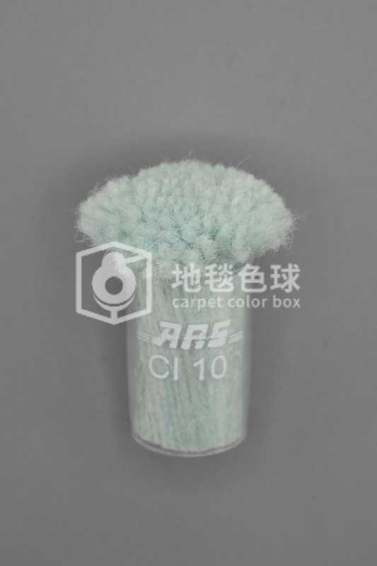ARS CI10