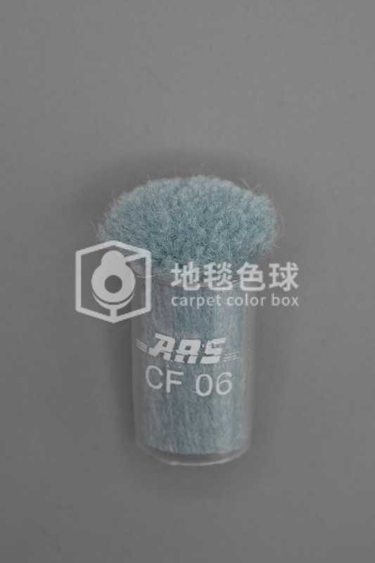 ARS CF06