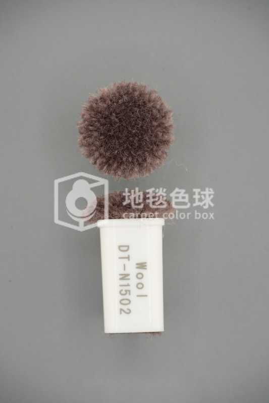 DT N1502