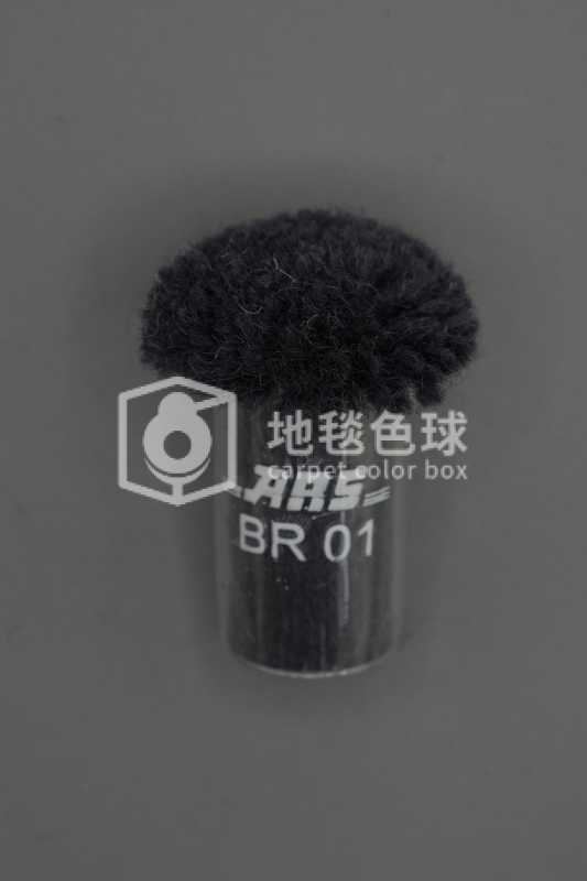 ARS BR01