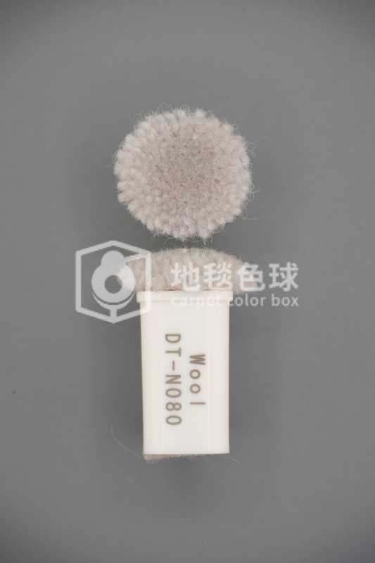 DT N080