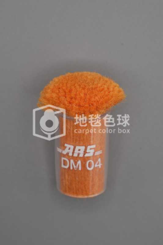 ARS DM04