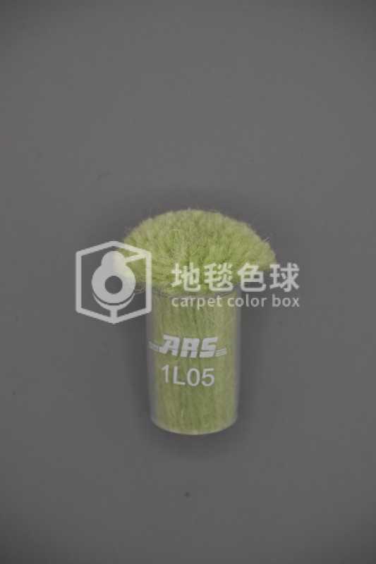 ARS 1L05