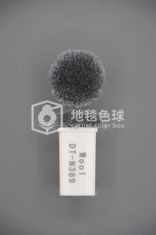 DT N389