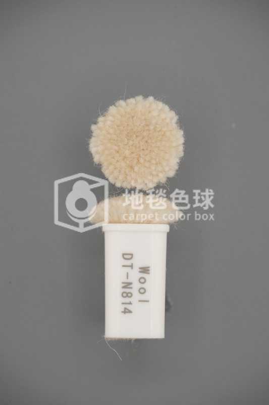DT N814