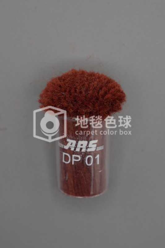 ARS DP01