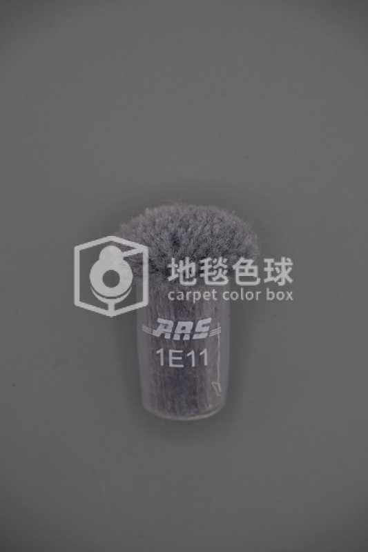 ARS 1E11