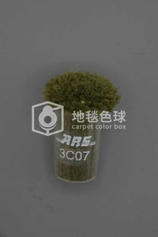 ARS 3C07