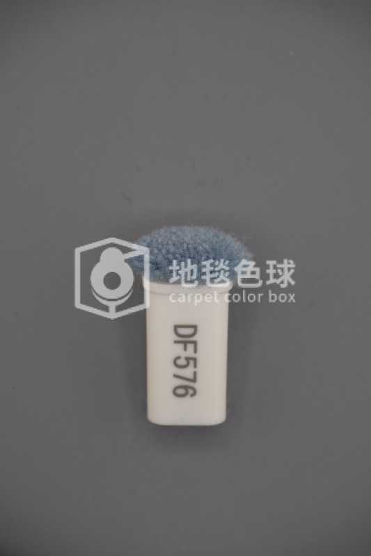 DF576