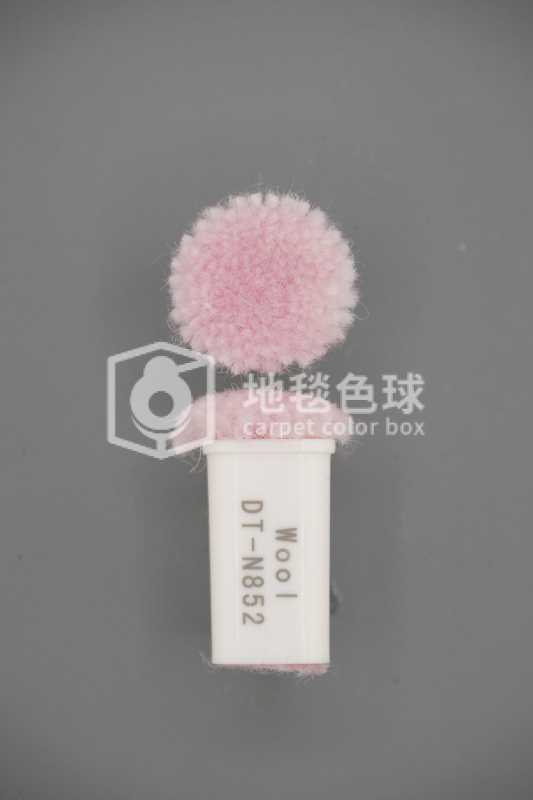 DT N852