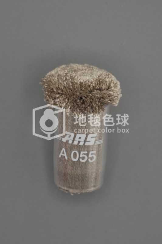 ARS A055