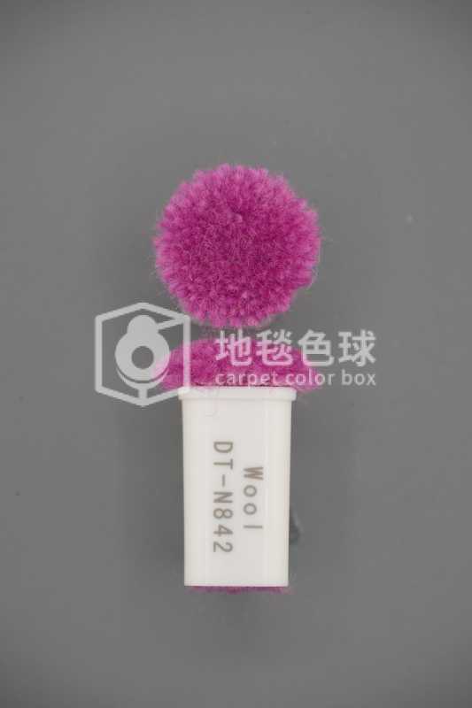 DT N842