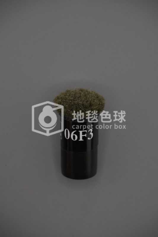 06F3