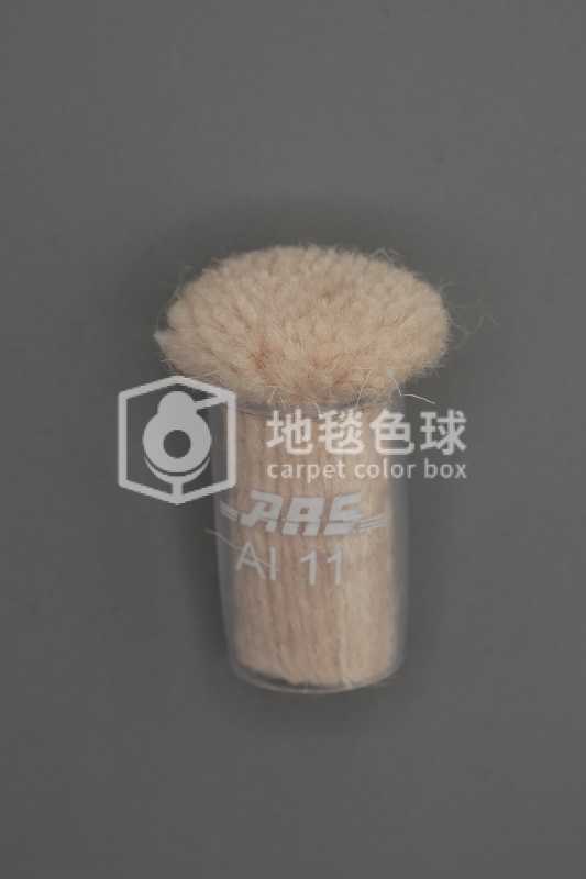 ARS AI11