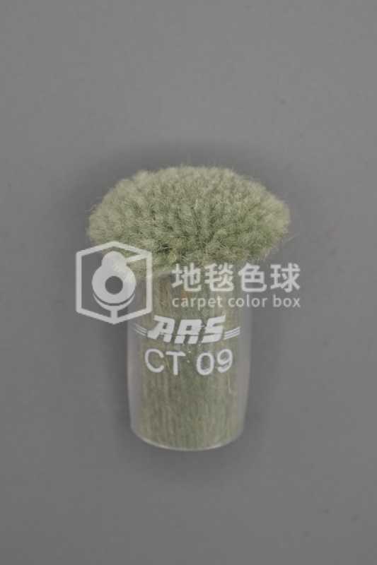ARS CT09
