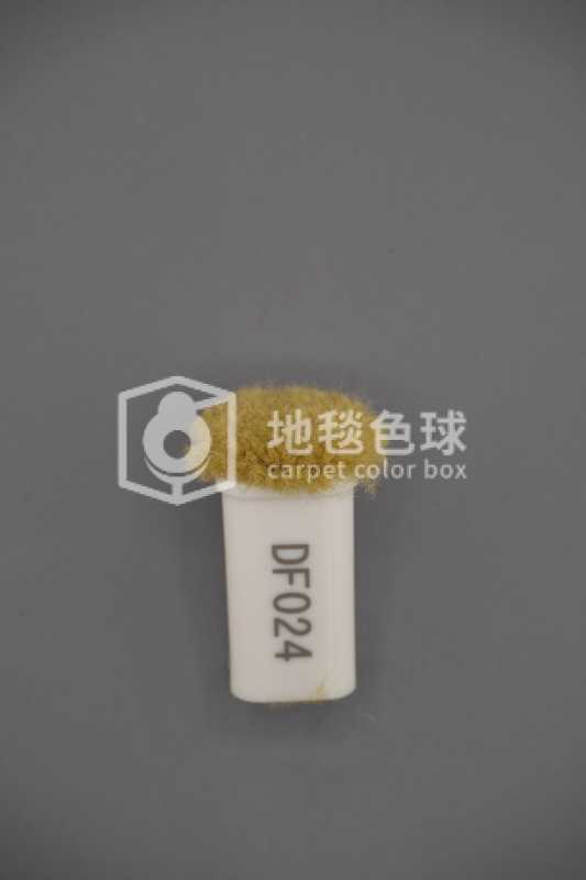DF024