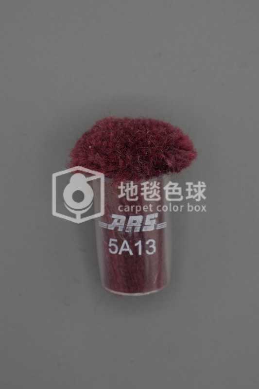 ARS 5A13