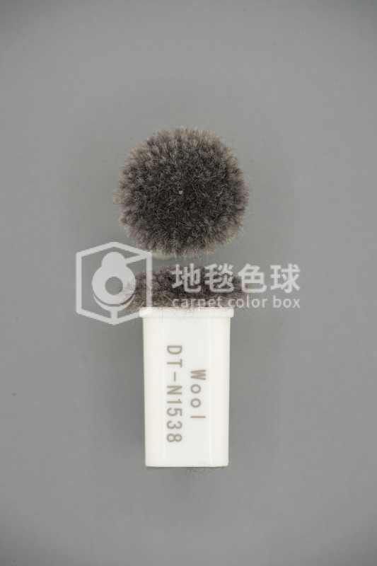 DT N1538