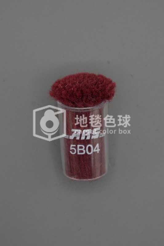 ARS 5B04