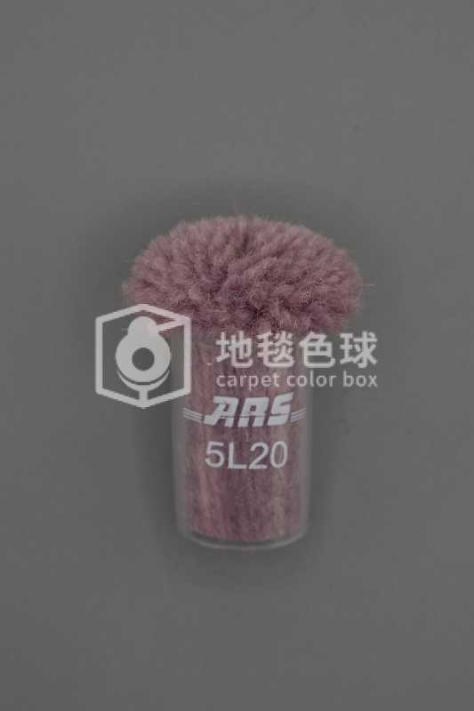 ARS 5L20