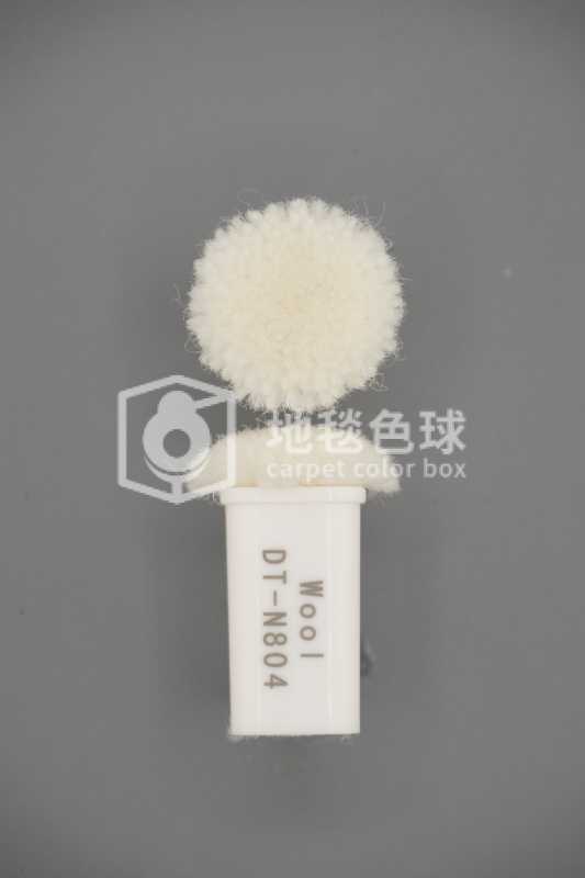 DT N804