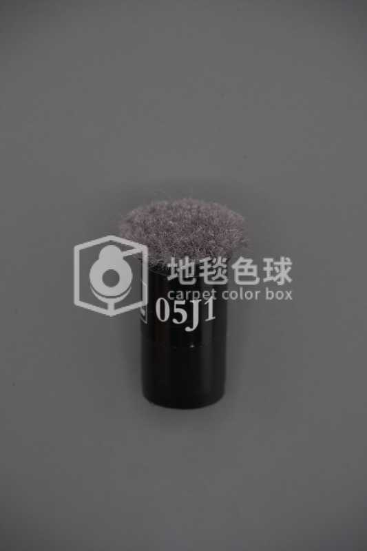 05J1