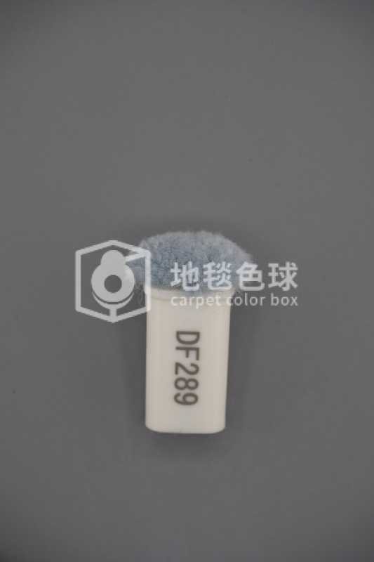 DF289