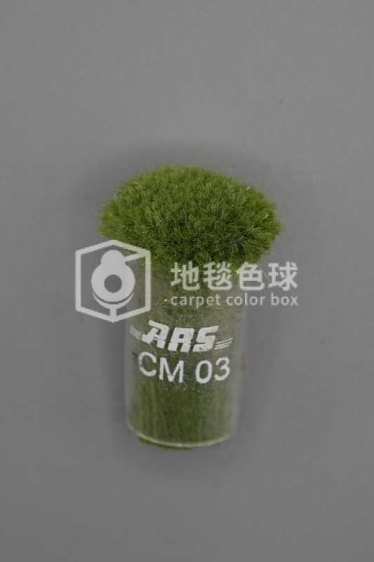 ARS CM03