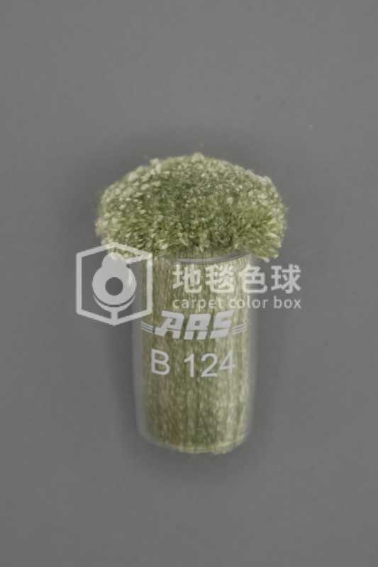 ARS B124
