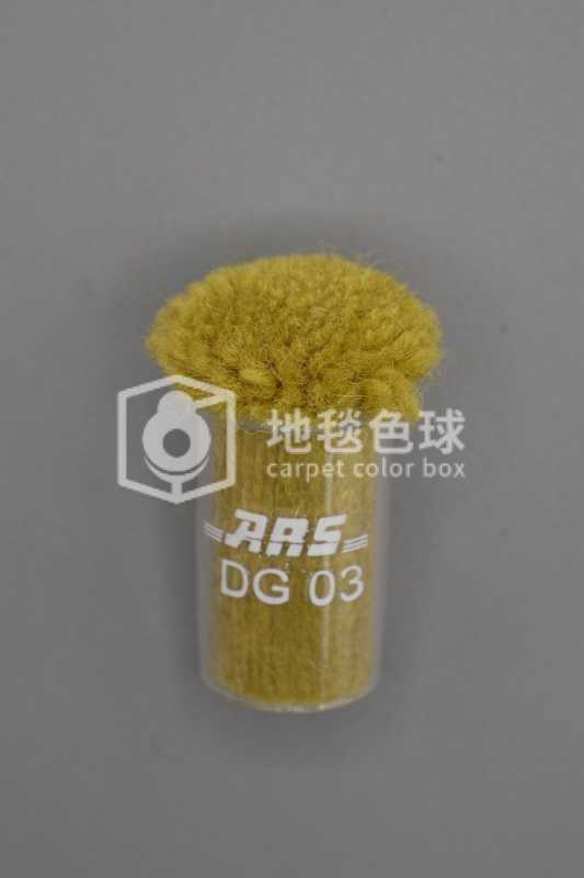 ARS DG03