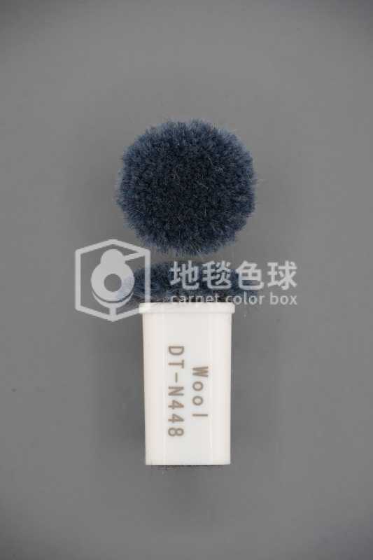 DT N448