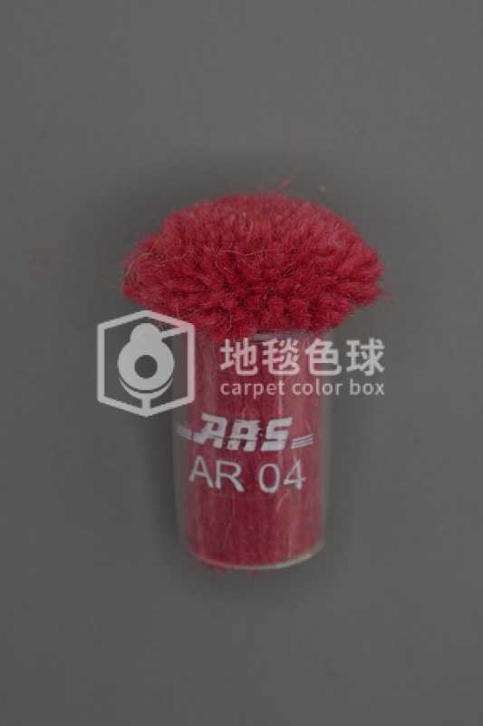 ARS AR04