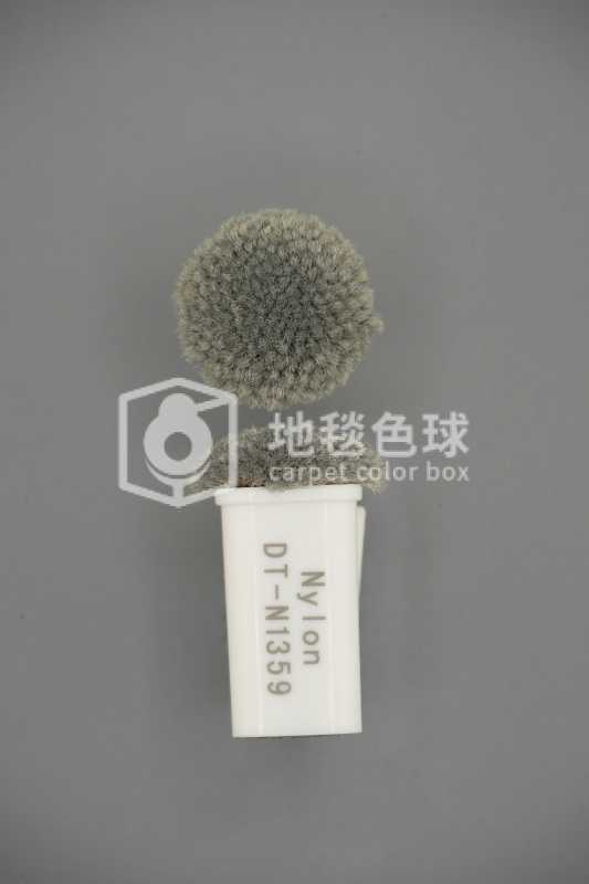 DT N1359