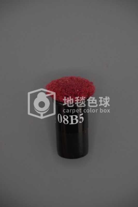 08B5