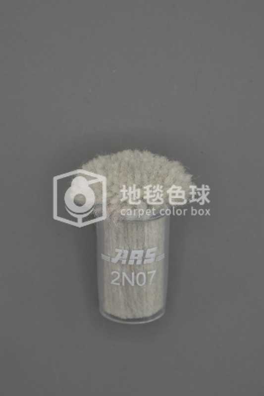 ARS 2N07