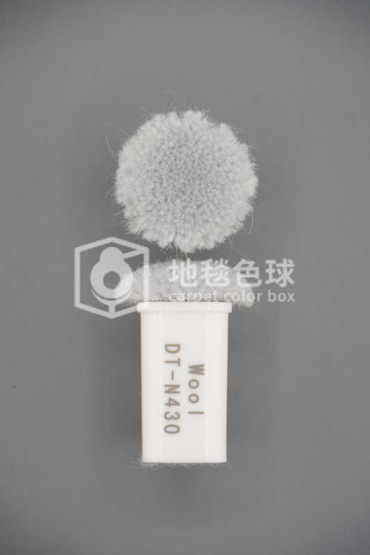 DT N430