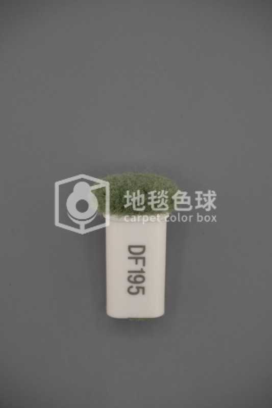 DF195