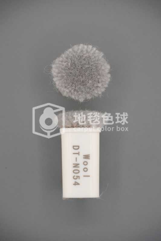 DT N054