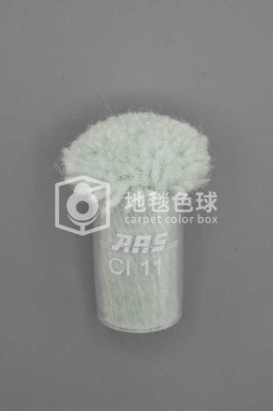 ARS CI11