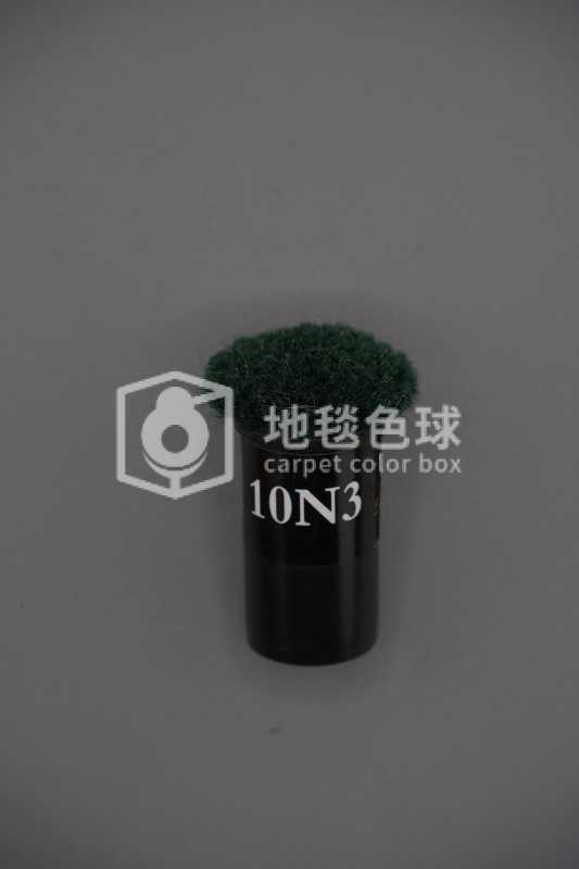 10N3