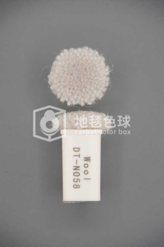 DT N058