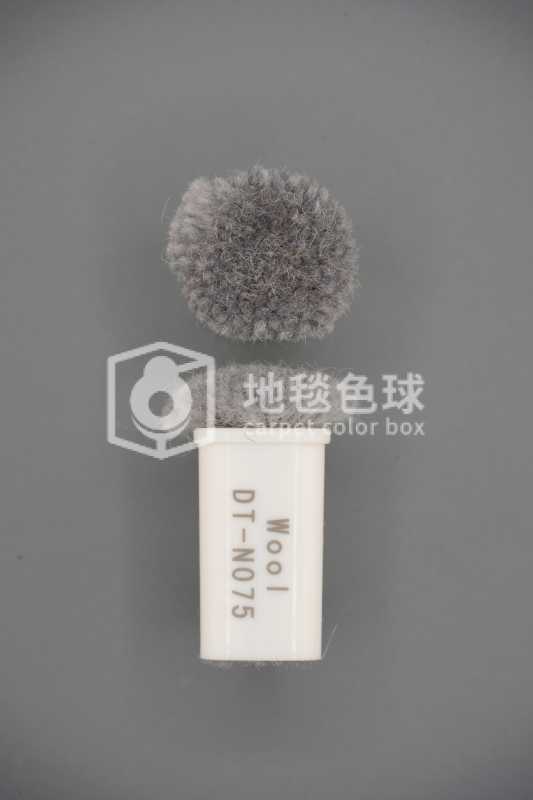 DT N075