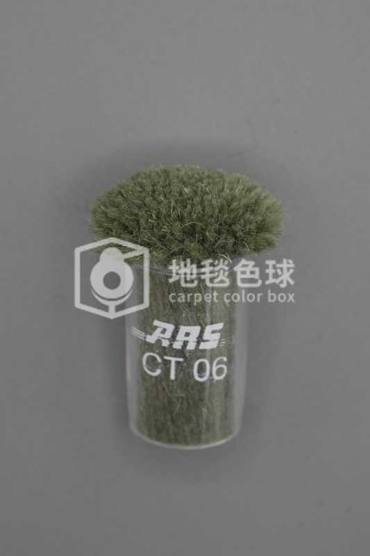 ARS CT06