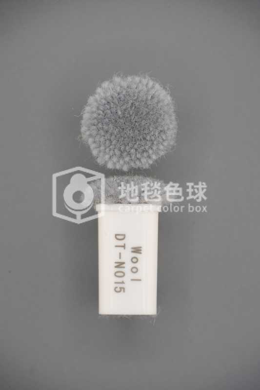 DT N015
