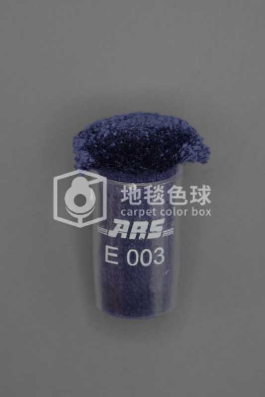ARS E003